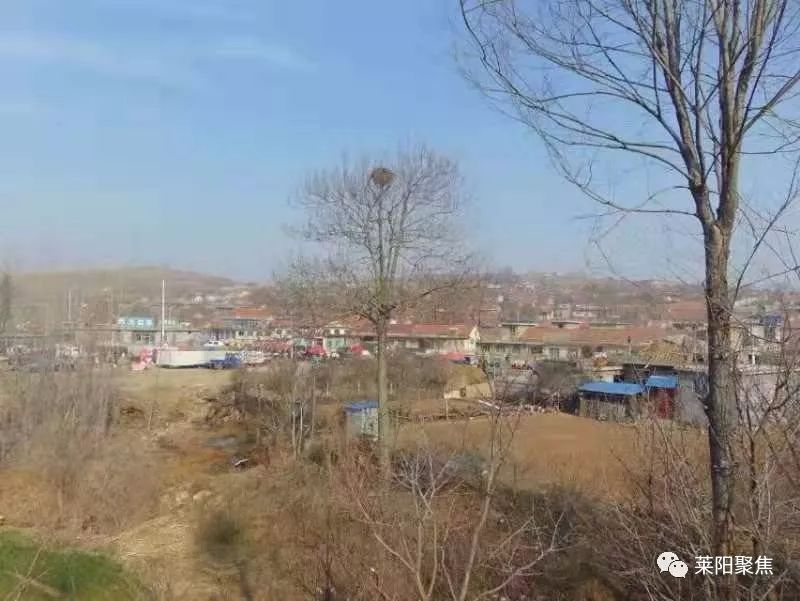 我的偷瓜摸枣的童年