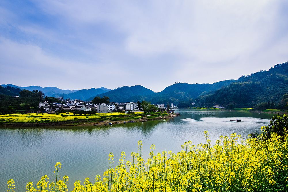 千变万化的悟空（杂诗）