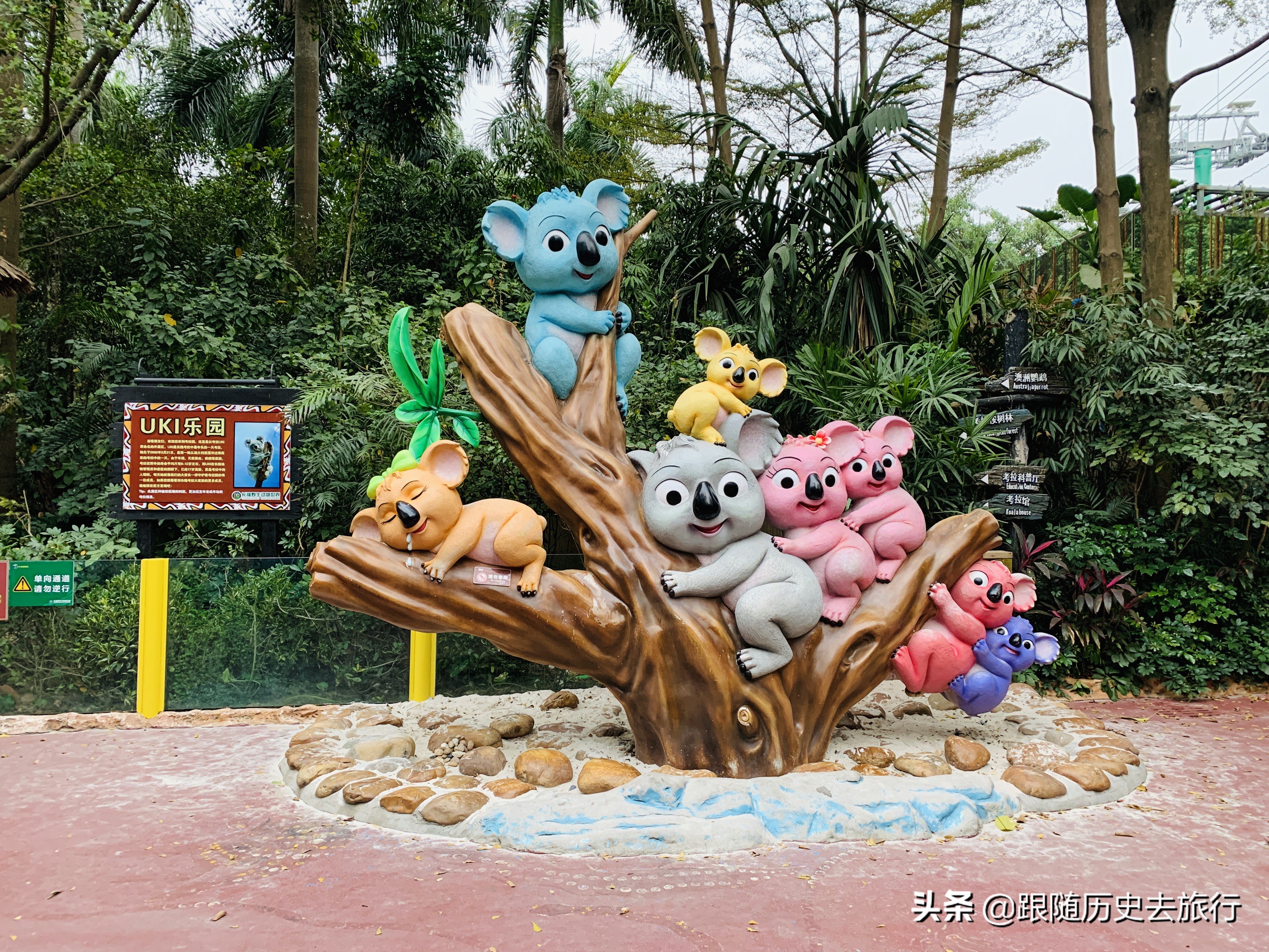 广州长隆动物园大熊猫门票多少钱,广州长隆水动物世界看大熊猫攻略