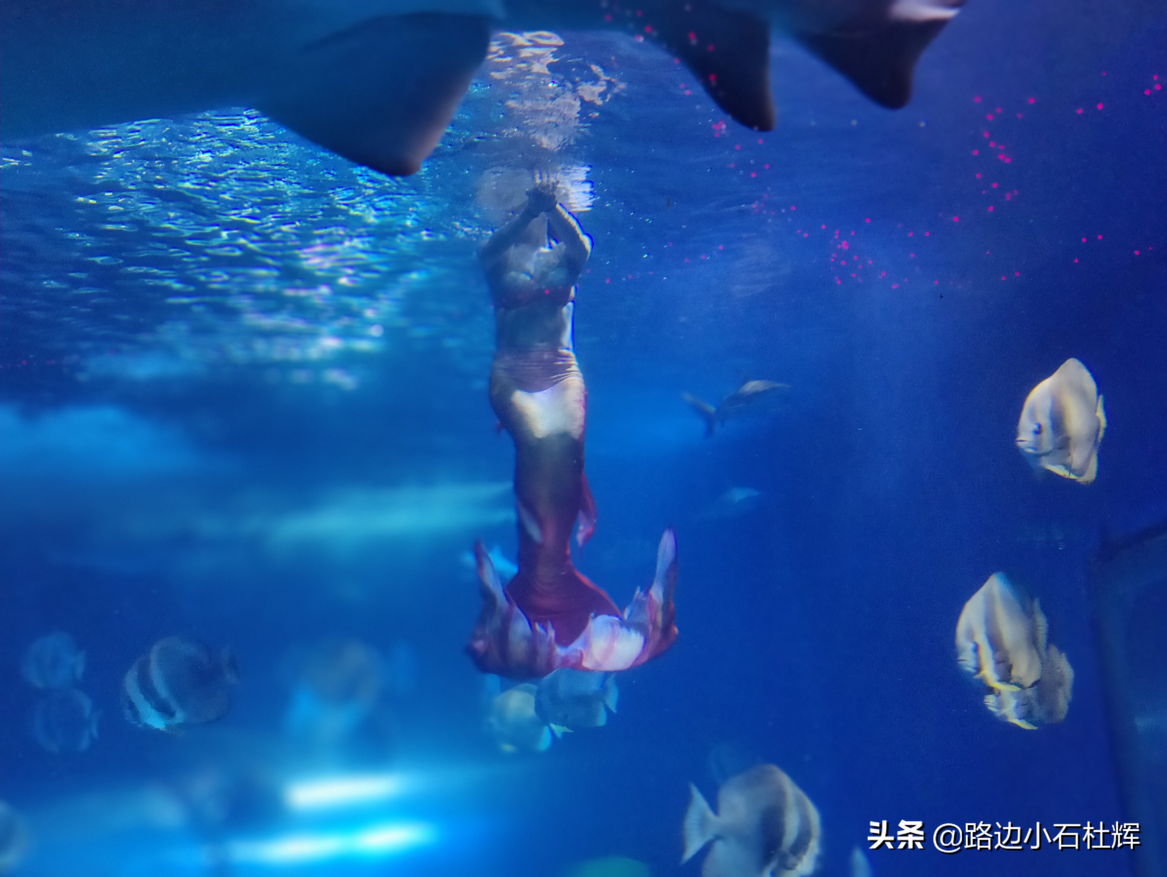 北京海洋馆海底世界游玩攻略,海洋馆北京海底世界游玩路线