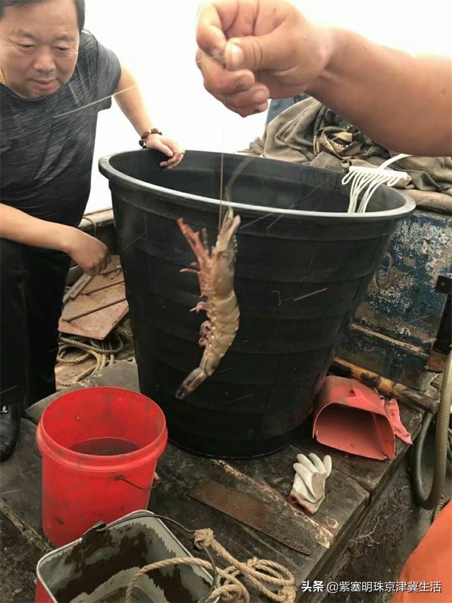 八月别来这座小岛，海鲜吃饱，大海景美唐山月坨岛009号别墅农家