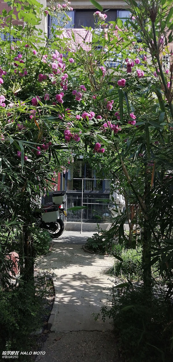 宝马摩托f750gs低配和高配的区别,宝马f750gs外观可以改成1250吗