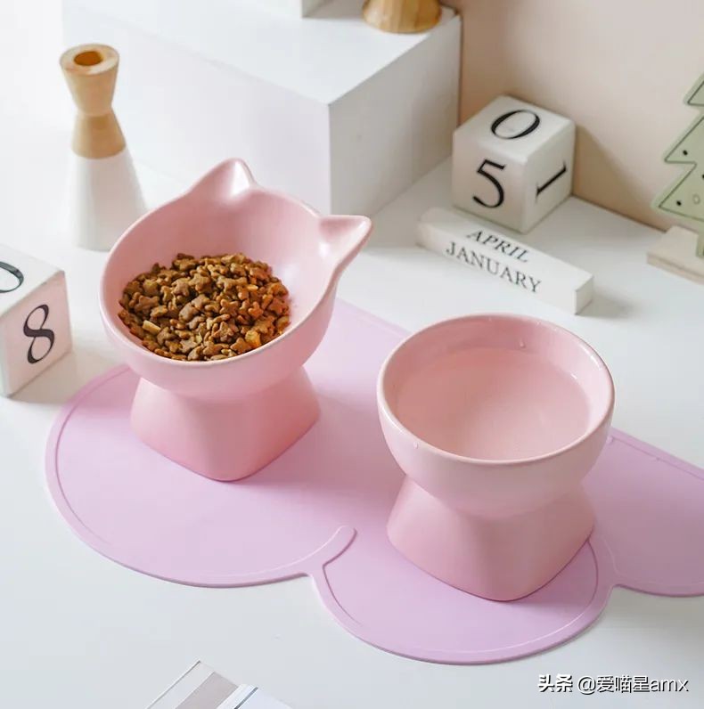 新手养猫必备品清单大全,养猫新手应该准备什么东西清单