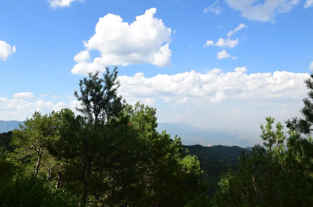 历史上的韩城文化,千年历史文化名城韩城