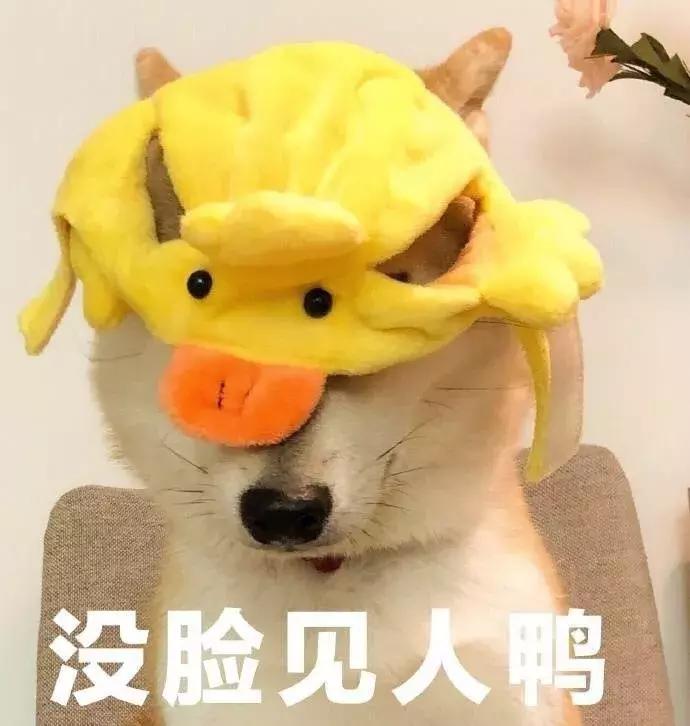 骞村害鐖辩敤绮惧崕娴嬭瘎,鍥炶喘100娆＄殑浜у搧