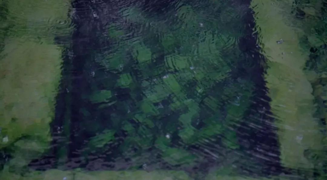 美丽云南第二季是什么,美丽云南第一季完整版