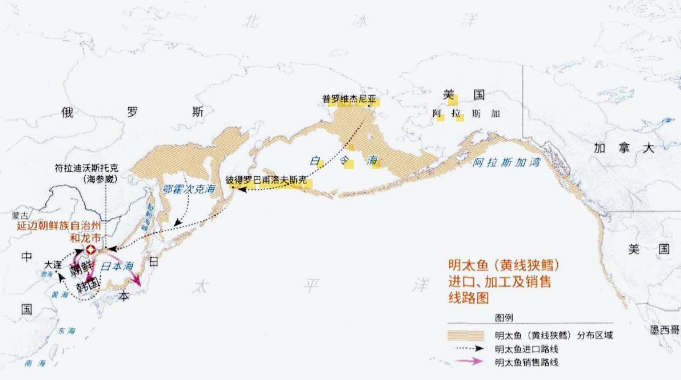 韩国人眼中的明太鱼,明太鱼是韩国特有吗