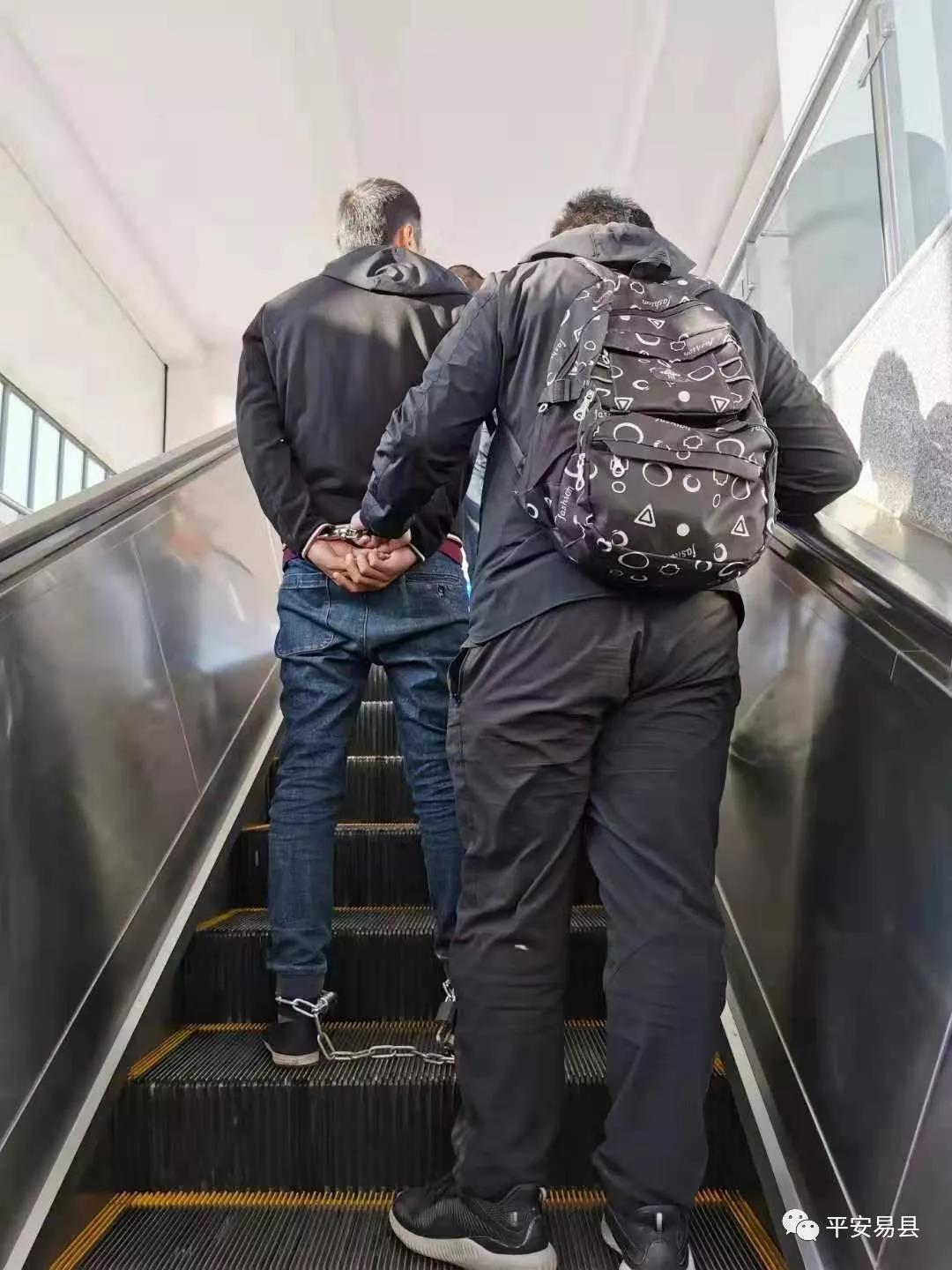 保定四“兄弟”盗窃、敲诈勒索，三人伏法一人潜逃，警方千里抓捕，班房再“团聚”