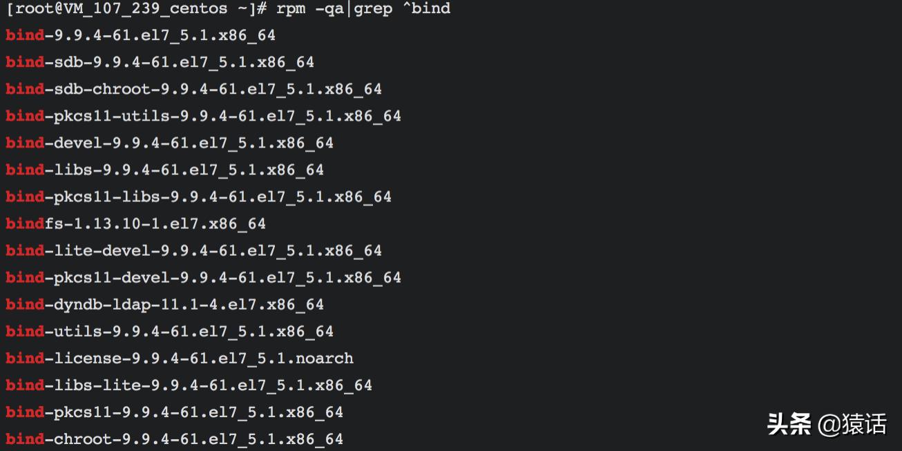 搭建dns服务器关键步骤文字描述,内网dns服务器搭建开源产品
