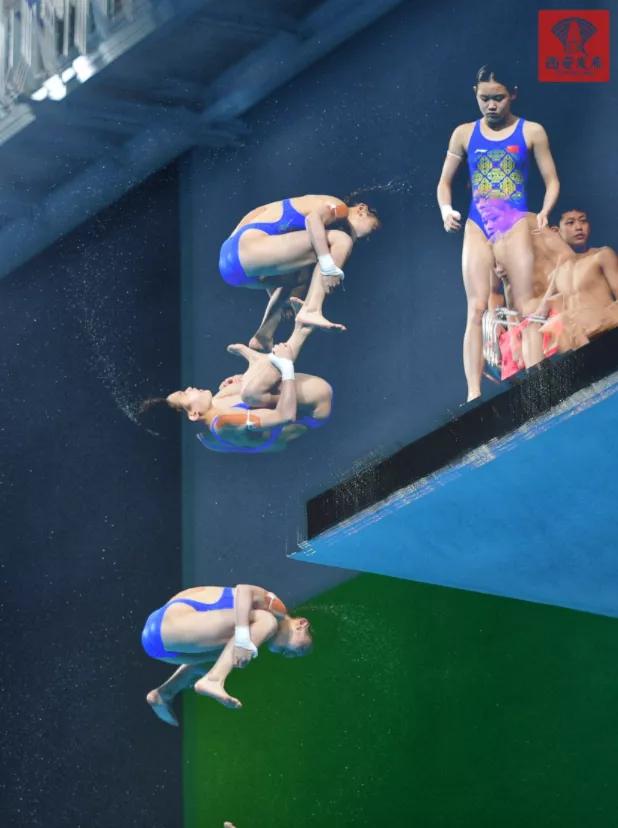 55位奥运冠军,50名奥运冠军出战全运会