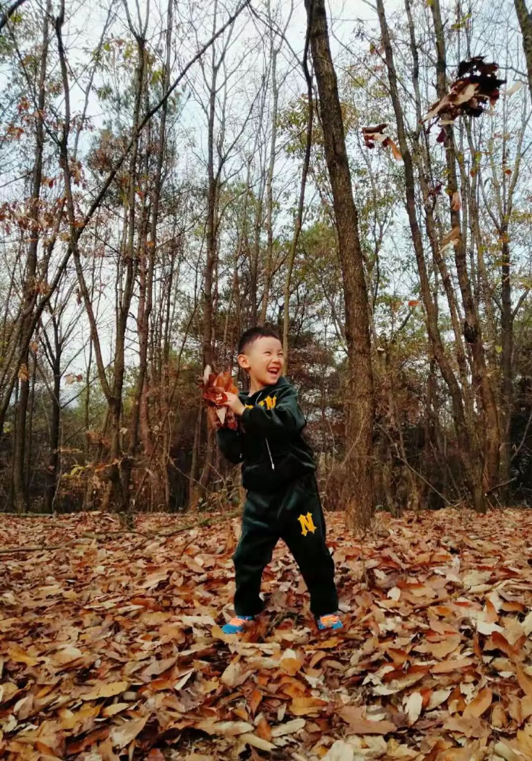 姝︽眽鑻变鸡灏忓眿,姝︽眽鏈夊効绔ヨ鏂界殑鎴胯溅钀ュ湴