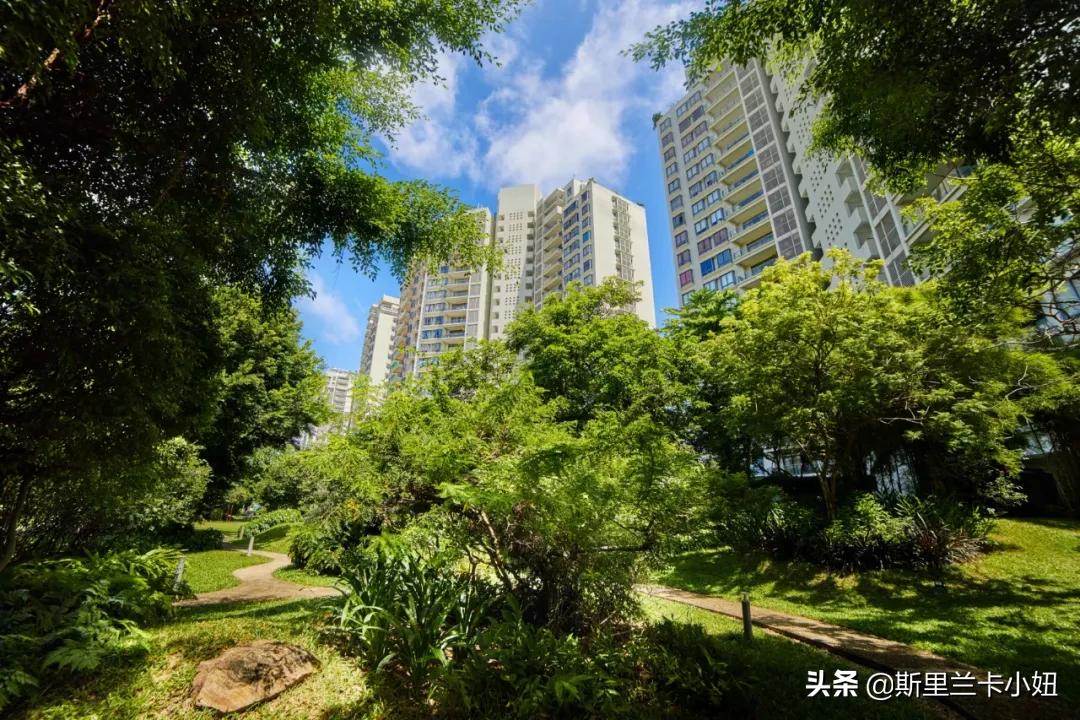 斯里兰卡公寓值不值得买,斯里兰卡公寓值得购买