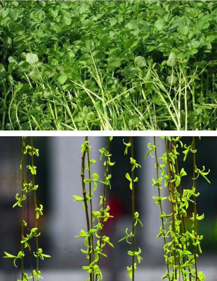 小众民宿住宿推荐,湖北郊游民宿