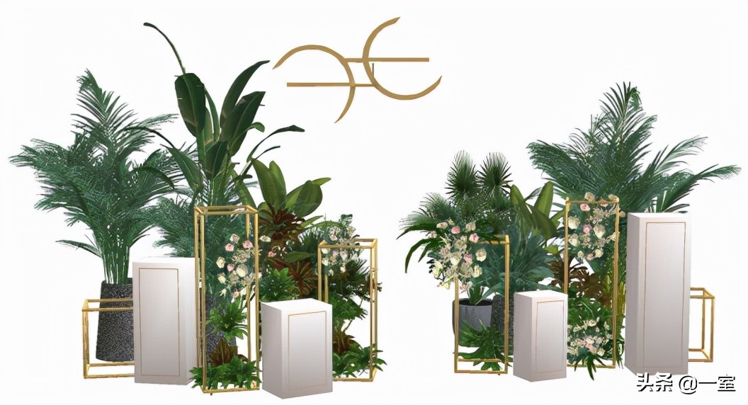 网红庭院植物搭配,网红绿植搭配技巧
