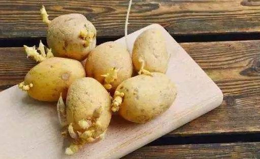 清明前最毒的食物是什么,清明后少吃三大食物