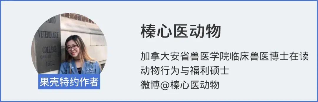 宠物邮寄托运流程,邮寄宠物用什么托运公司