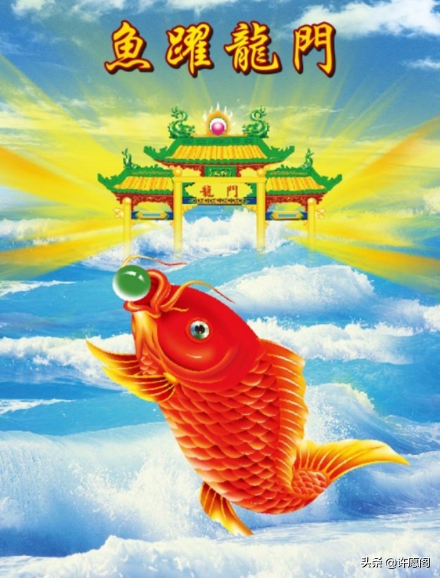 锦鲤十一月好运,十一月锦鲤运气