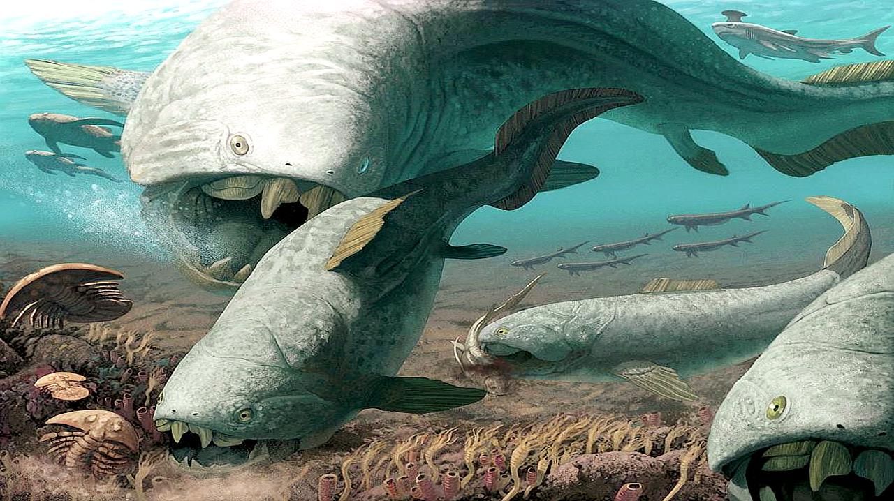 邓氏鱼怎么灭亡,邓氏鱼用什么驯服