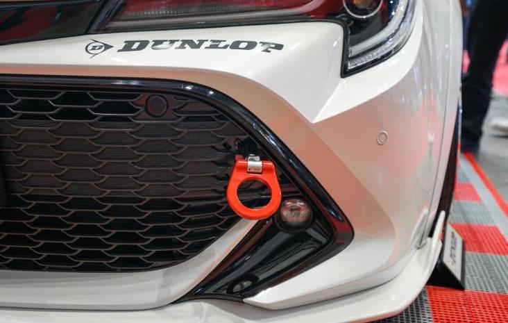 日本男子花两万块将自己改造成狗,日本丰田卡罗拉改装图片