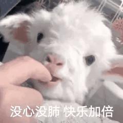 今日表情包第三弹图片,今日表情包收藏