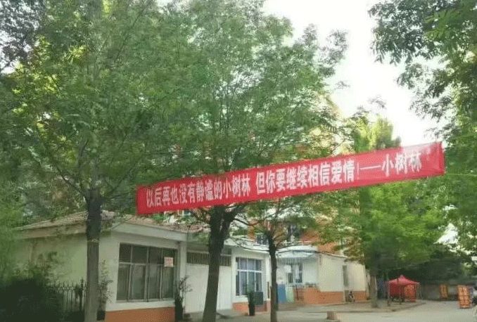 学校毕业的横幅,高校走心毕业季标语惹哭网友