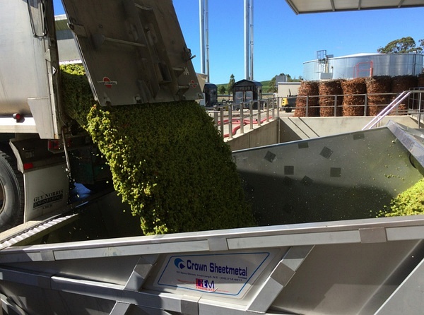 在新西兰果园工作累吗,在新西兰酿造葡萄酒