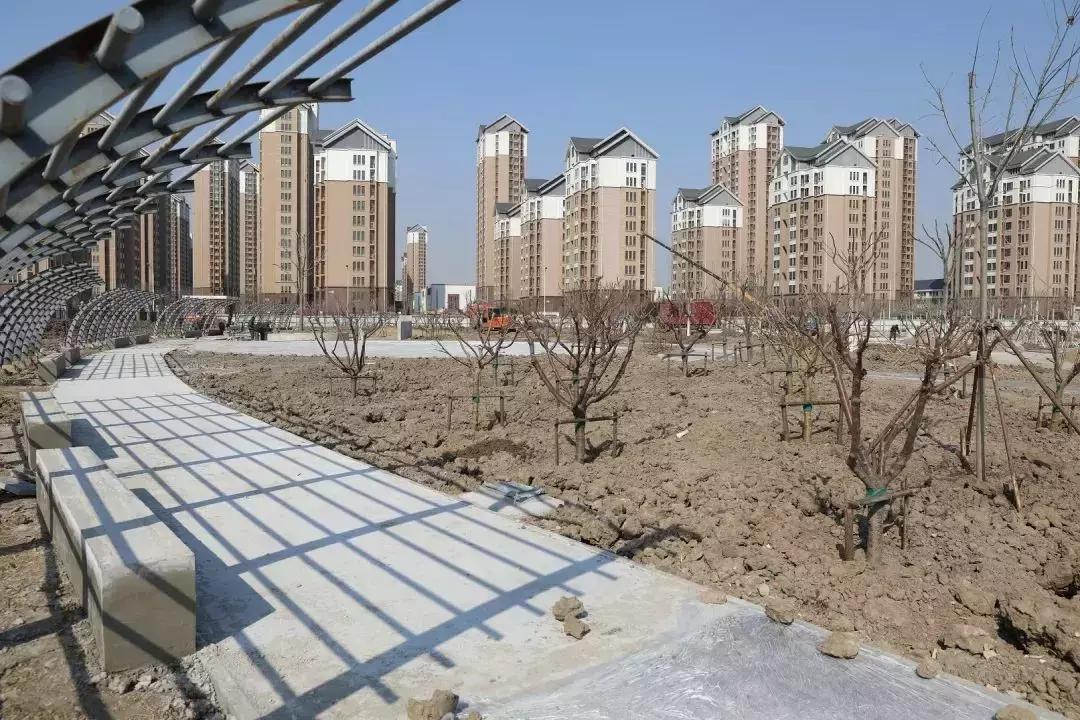 天津津南区葛沽公园,天津津南区葛沽镇体育公园