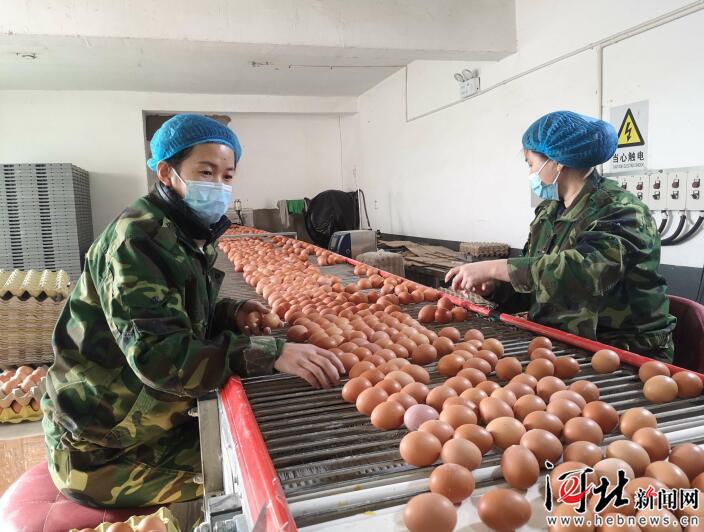 河北脱贫攻坚,图文直播张家口一中