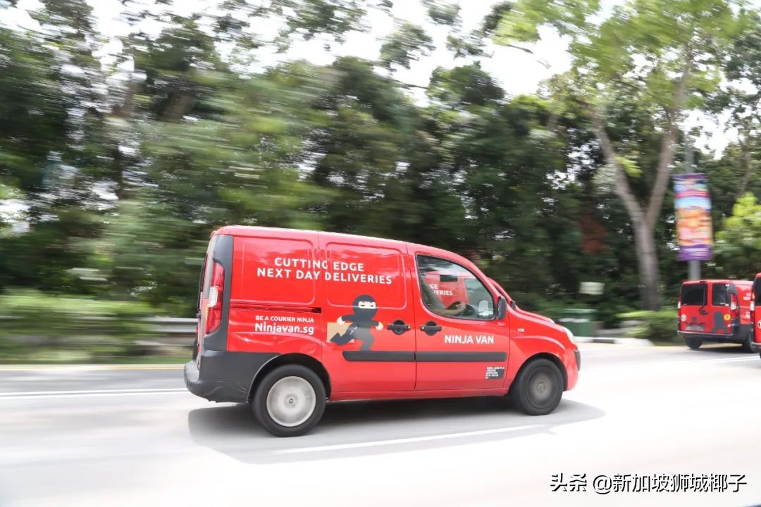 国内都有哪些新加坡品牌,新加坡最出名品牌