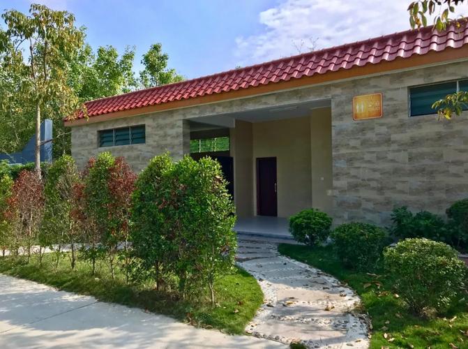 碧桂园乡村振兴项目,在家门口就可以致富创收