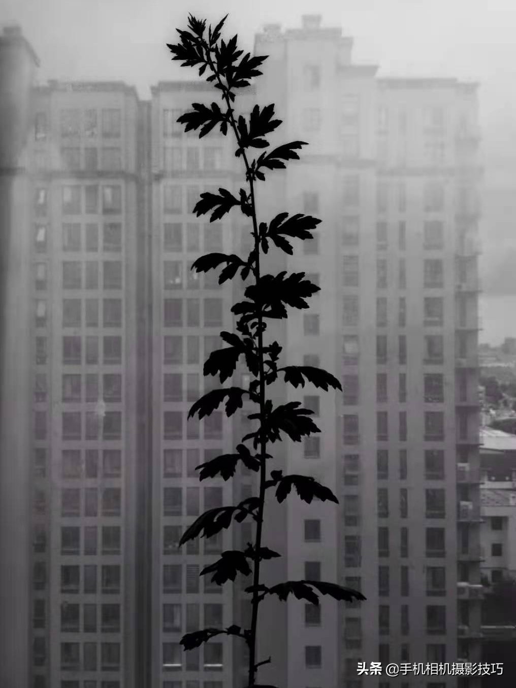 18幅普通人拍出来的好照片,18张普通人拍出来的好照片