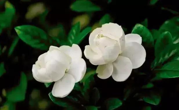 人生有趣汪曾祺,汪曾祺人生有趣在线阅读