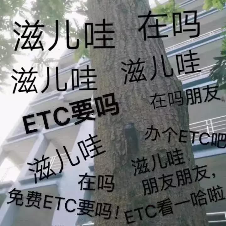 基本工资不到最低标准,基本工资不足3000占多少