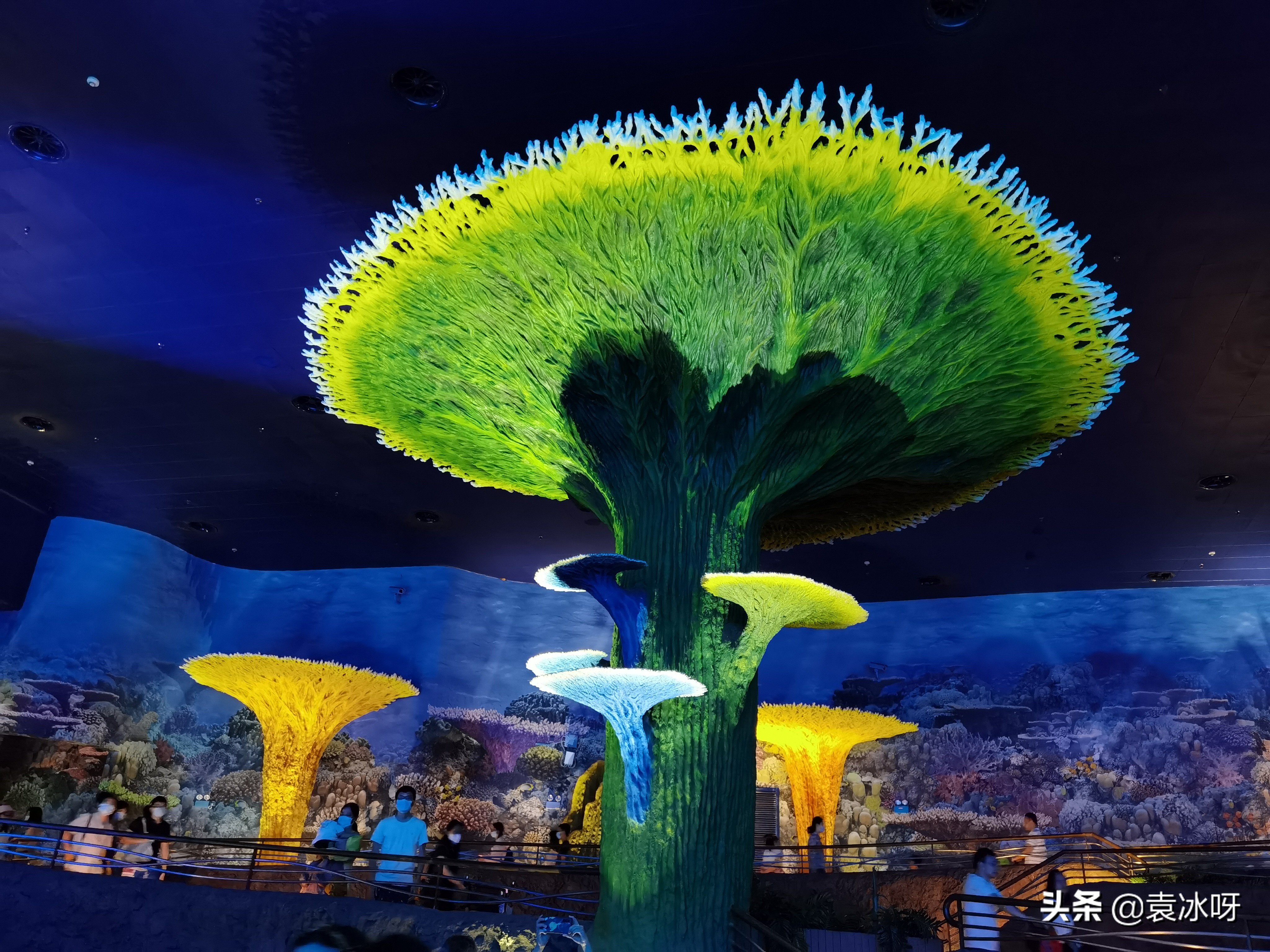 珠海长隆海洋王国一日攻略,珠海长隆海洋王国停车场攻略