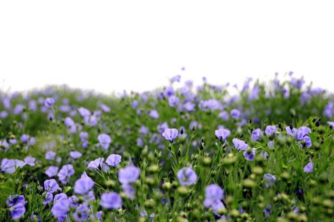 张北最美的景区是哪里,最美的草原自驾游路线攻略