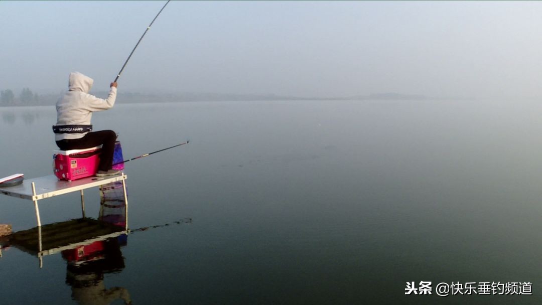 夏季蚯蚓野钓怎么避小杂鱼,夏季野钓鲫鱼避杂鱼