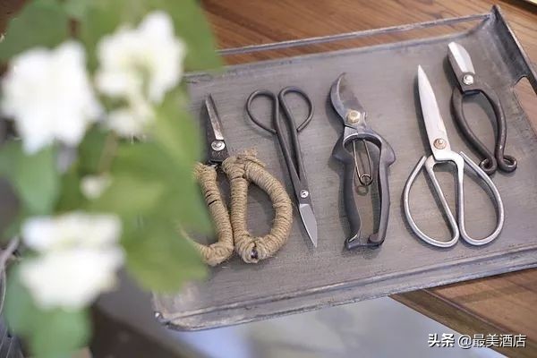 她放弃了总监职位后续,她辞去总监回家扶贫全集