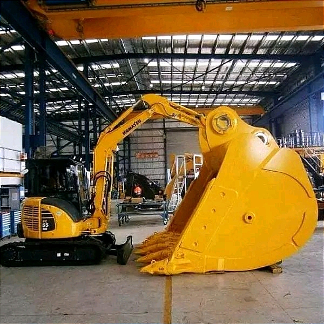 搞笑段子：骑上我心爱的小乌龟