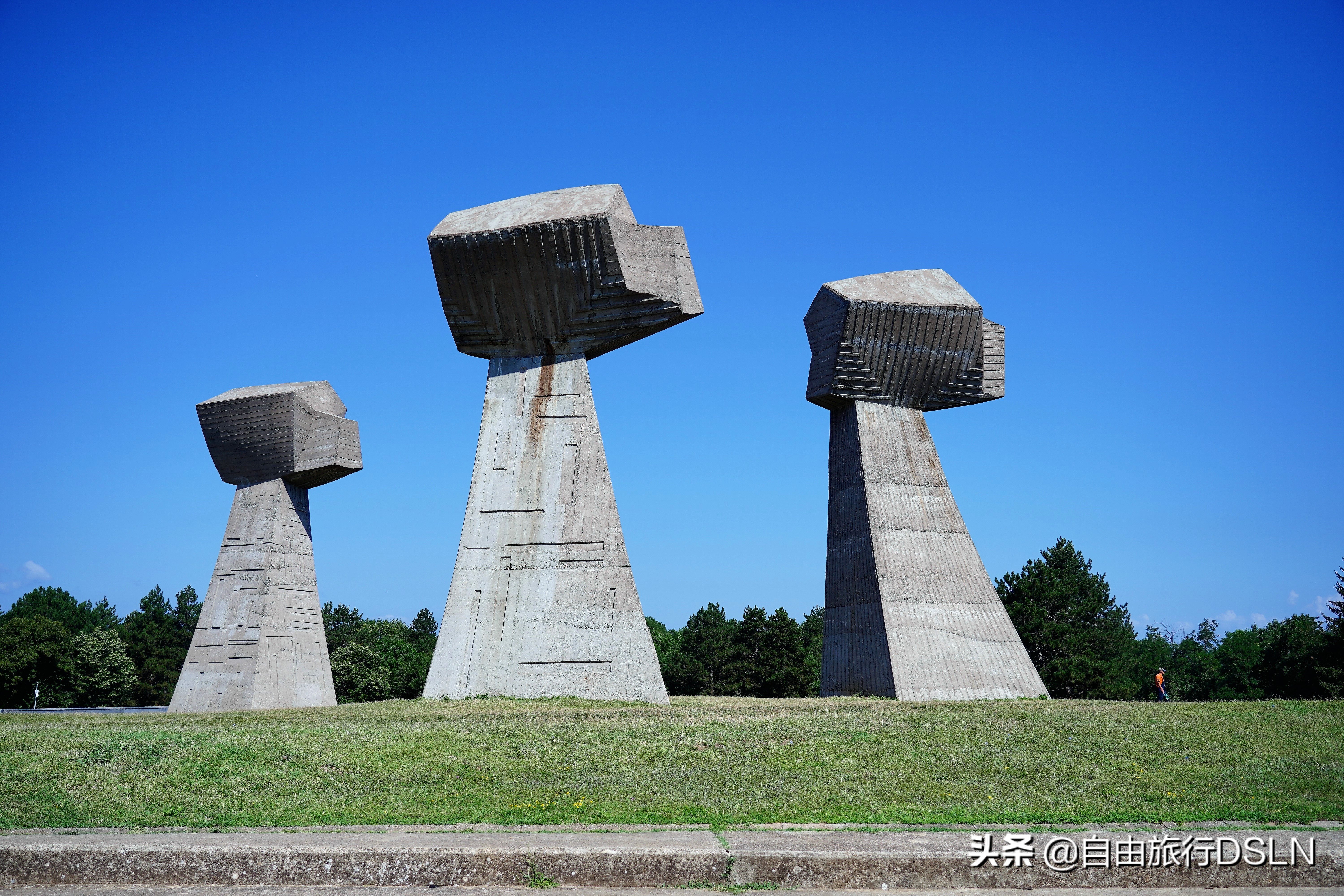 塞尔维亚语起源,塞尔维亚巴尔干之虎的来历