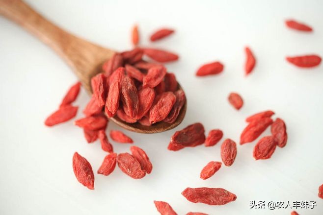 药用枸杞的种植技术,枸杞干货怎么选