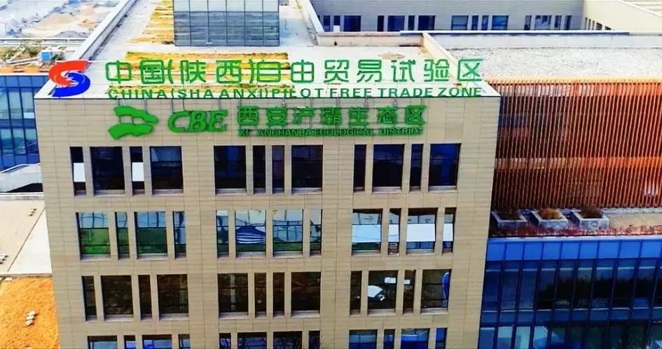 央视新闻直播西安夜景,央视直播西安奥体中心