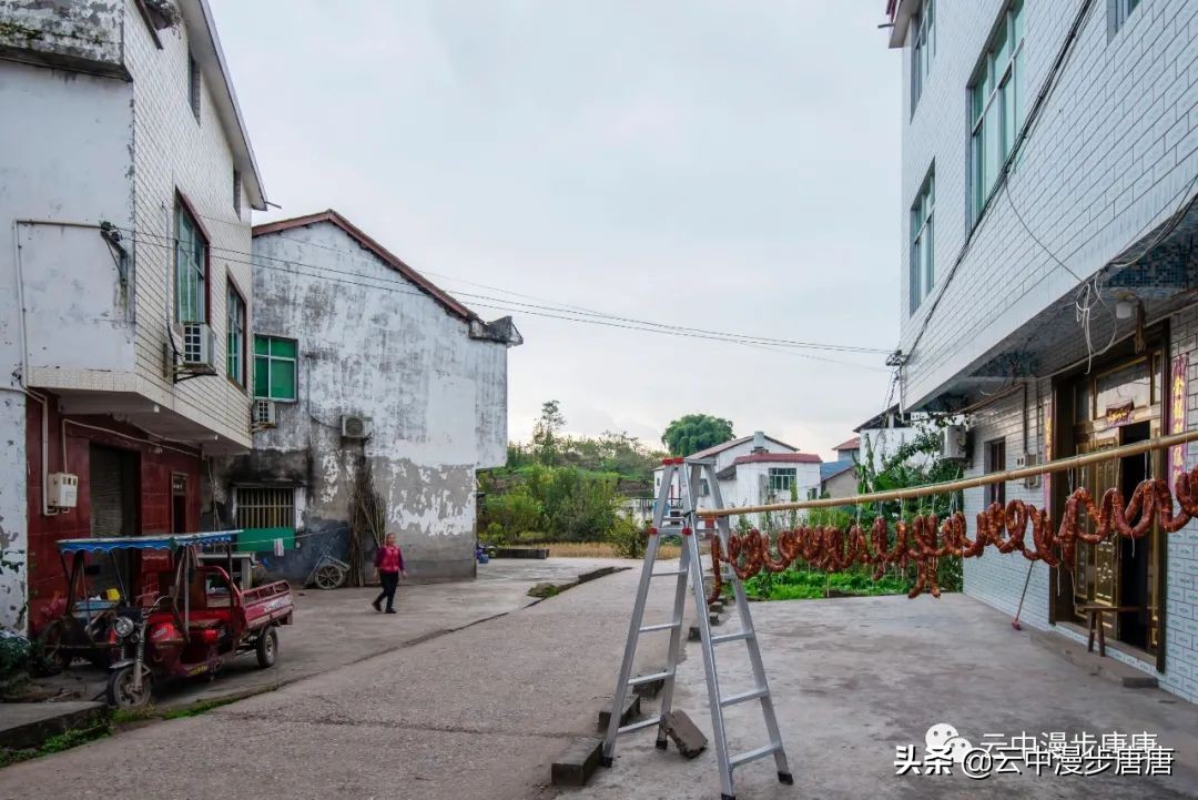 行走的风景岳池,行走的“风景”