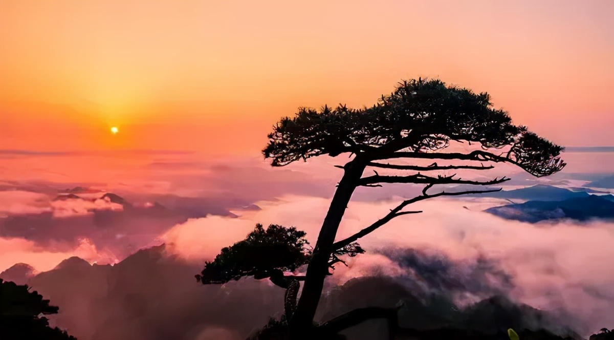 天下英雄非我莫属,天下英雄莫敢当