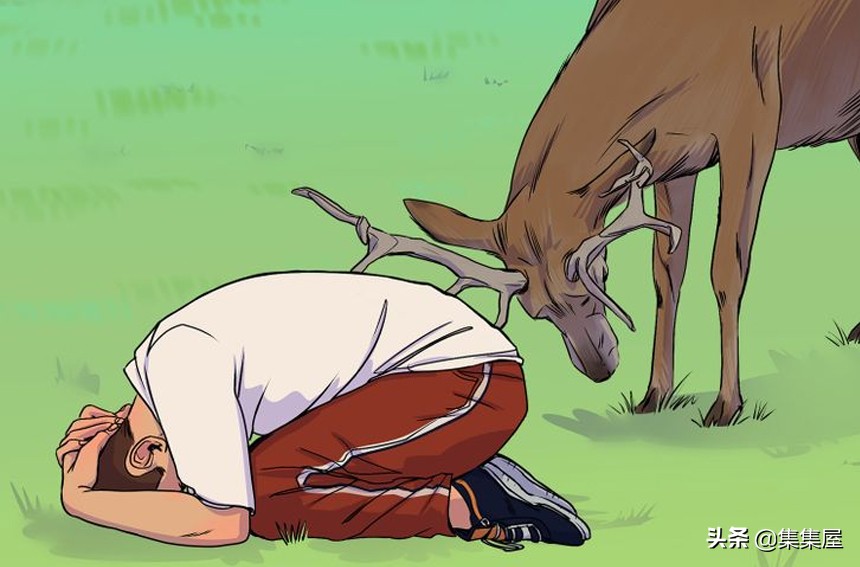 在野外遇到野生动物如何保护自己,在野外遇到凶猛的动物该怎么办呢