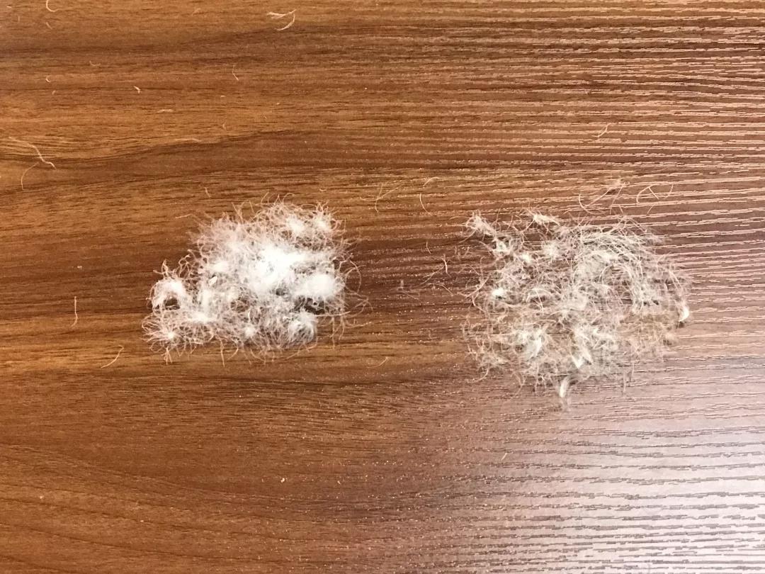 质量好的被子推荐测评,推荐一款冬天好被子