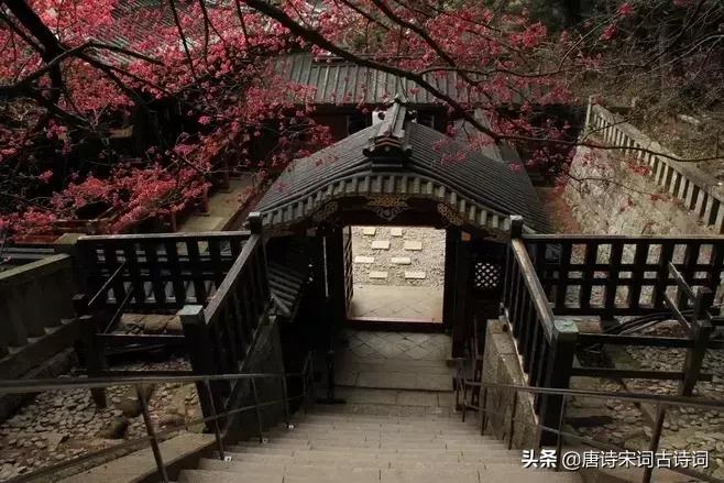 人生岁月经典诗句,人生感悟岁月诗词