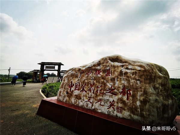 2022媒体花乡行,2023媒体花乡行