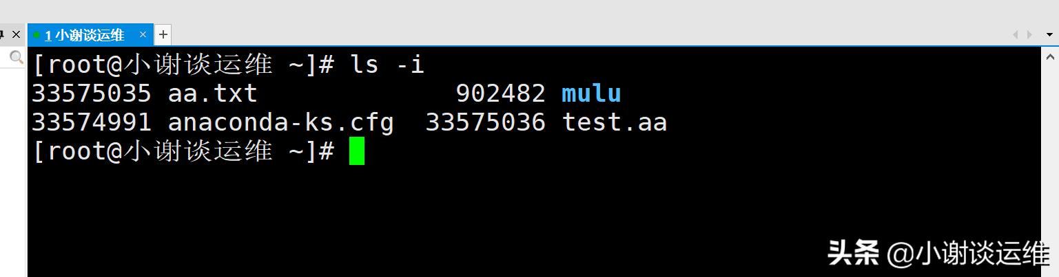 云计算自动化运维之Linux-ls命令详解