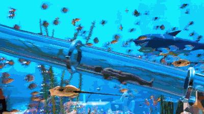 上海深坑酒店水下观景房视频,上海深坑酒店负17层建在水下