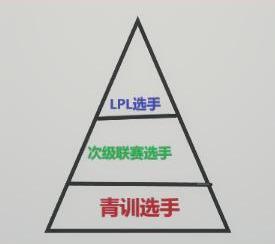 16岁王者打职业需要什么水平,什么水平可以去打王者职业